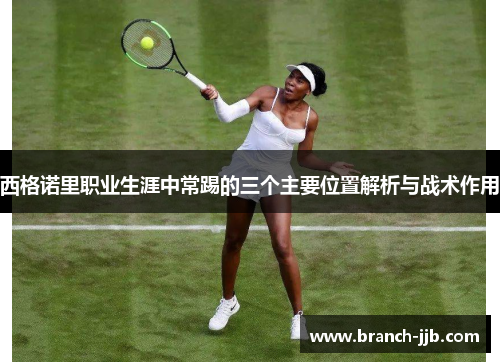 西格诺里职业生涯中常踢的三个主要位置解析与战术作用