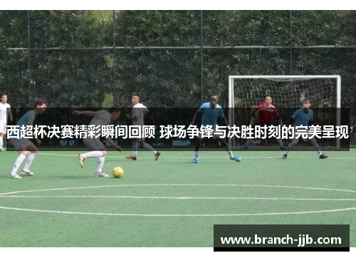 西超杯决赛精彩瞬间回顾 球场争锋与决胜时刻的完美呈现