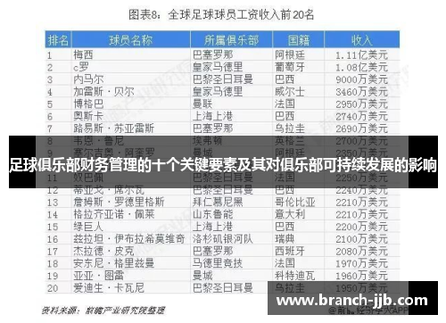 足球俱乐部财务管理的十个关键要素及其对俱乐部可持续发展的影响