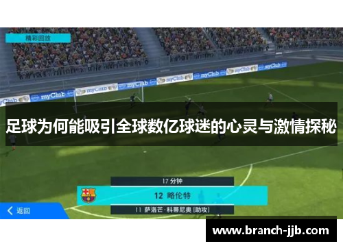 足球为何能吸引全球数亿球迷的心灵与激情探秘