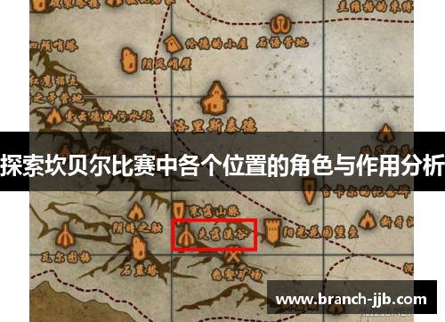 探索坎贝尔比赛中各个位置的角色与作用分析