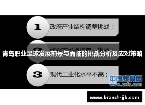 青岛职业足球发展前景与面临的挑战分析及应对策略