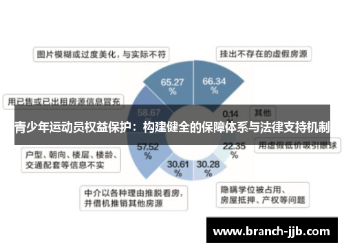 青少年运动员权益保护：构建健全的保障体系与法律支持机制