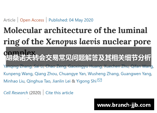 胡桑诺夫转会交易常见问题解答及其相关细节分析