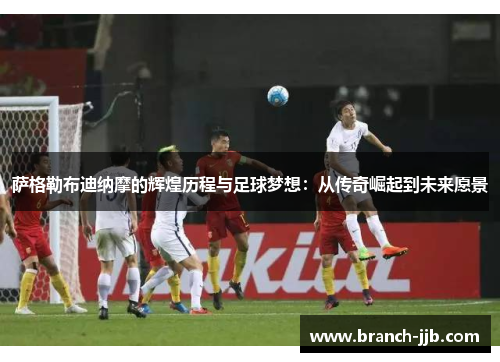 萨格勒布迪纳摩的辉煌历程与足球梦想：从传奇崛起到未来愿景
