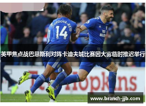 英甲焦点战巴恩斯利对阵卡迪夫城比赛因大雾临时推迟举行
