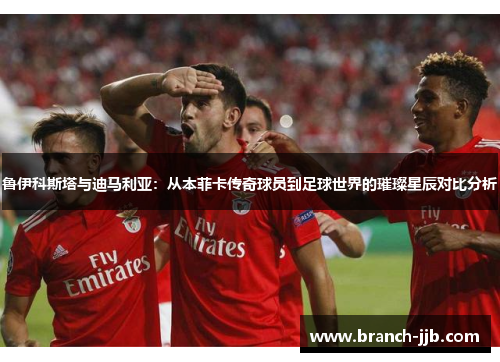 鲁伊科斯塔与迪马利亚：从本菲卡传奇球员到足球世界的璀璨星辰对比分析
