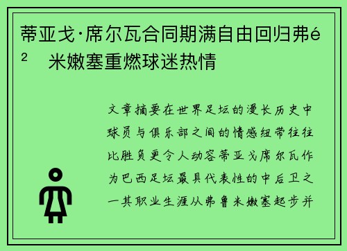 蒂亚戈·席尔瓦合同期满自由回归弗鲁米嫩塞重燃球迷热情