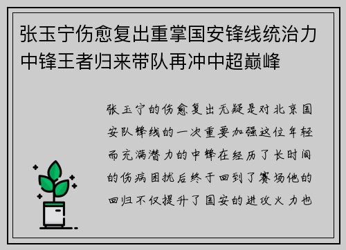 张玉宁伤愈复出重掌国安锋线统治力中锋王者归来带队再冲中超巅峰 张玉宁伤愈复出重掌国安锋线统治力中锋王者归来带队再冲中超巅峰