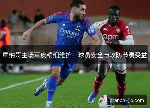摩纳哥主场草皮精细维护，球员安全与攻防节奏受益